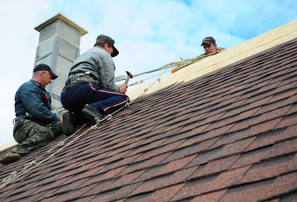 Best Shingle Roofing Installation  in Baxley, GA